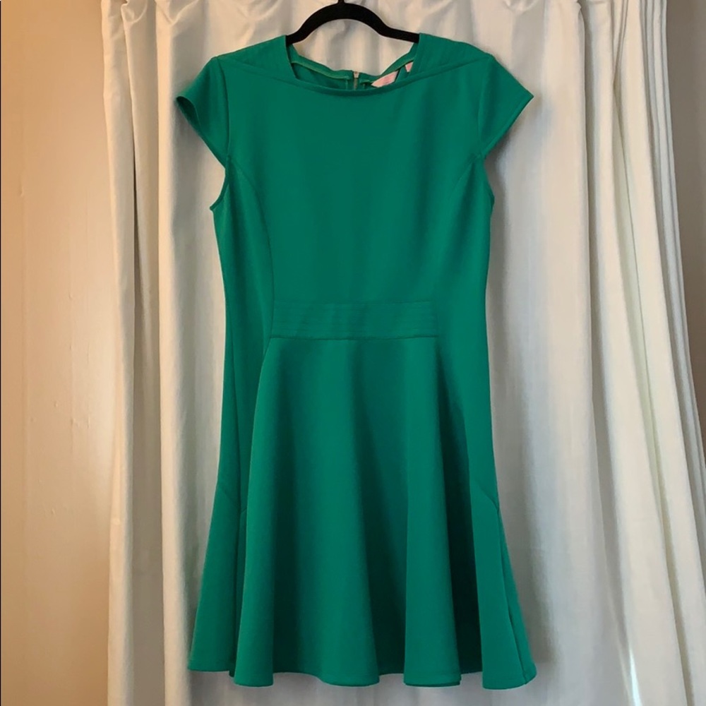 Ted Baker fit & flare green dress exposed zipper